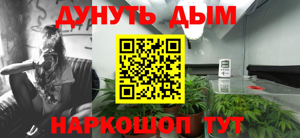 Бошки Шишки MAZAR Дивногорск